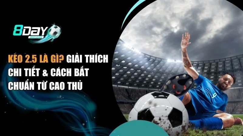 kèo 2.5 là gì