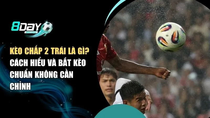 Kèo Chấp 2 Trái Là Gì? Cách Đọc Kèo, Hiểu Tỷ Lệ & Mẹo Đặt Cược Chuẩn Xác